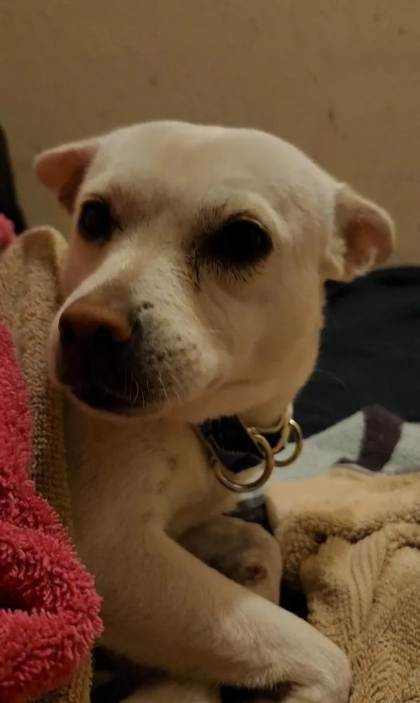 Conchita thumbnail 2