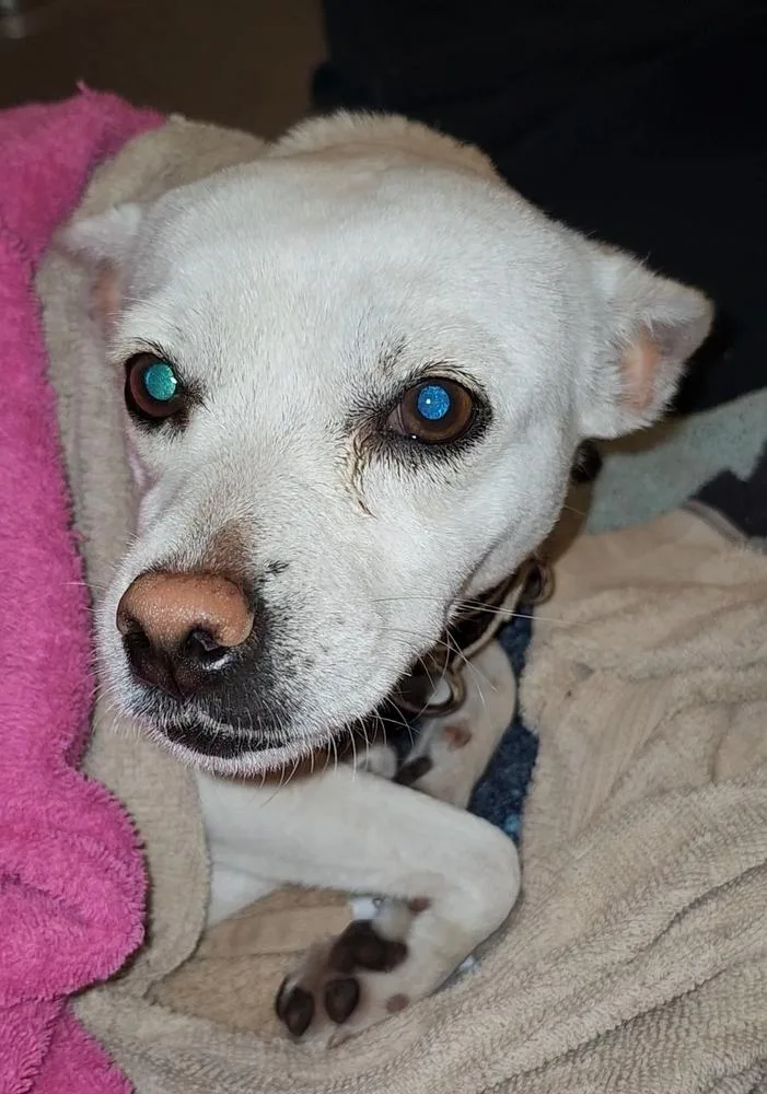 Conchita thumbnail 5