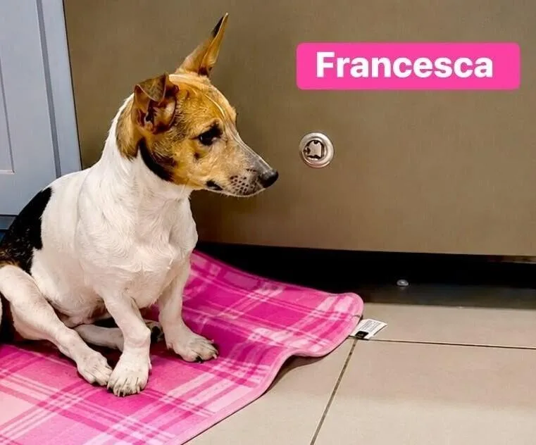 Francesca thumbnail 5