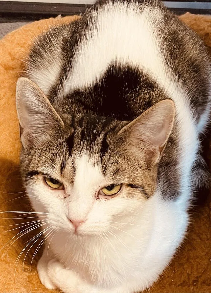 Callie Mae thumbnail 5