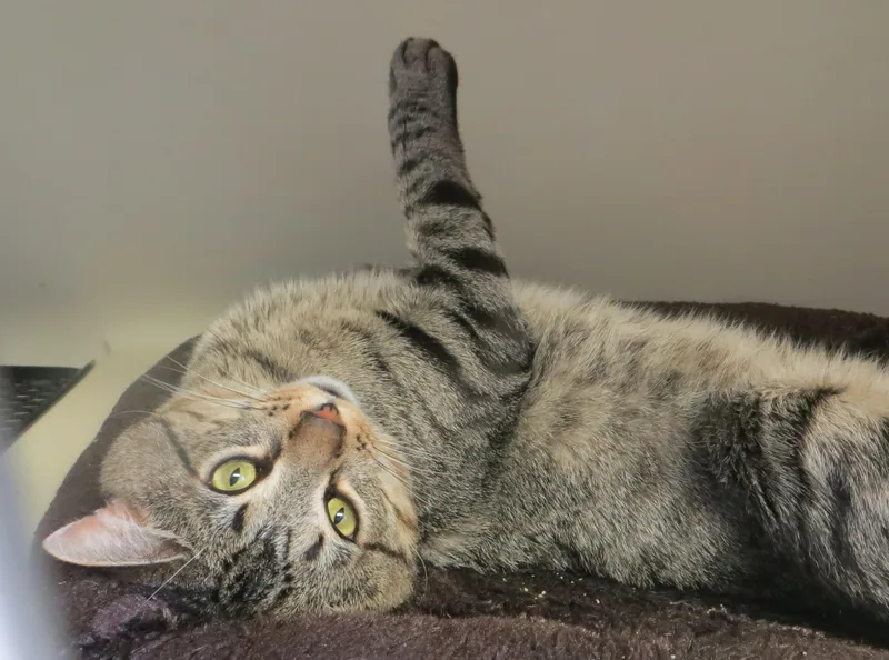 Billy thumbnail 5