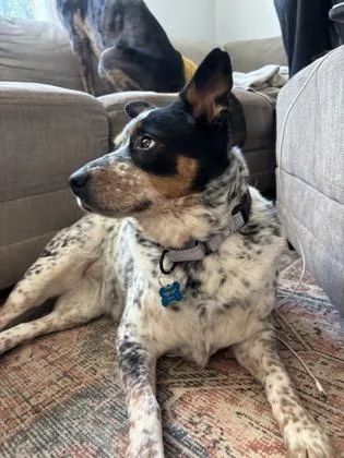 Bernadette thumbnail 2