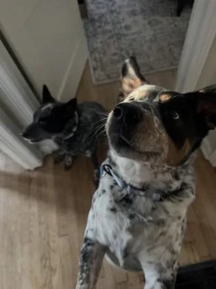 Bernadette thumbnail 5