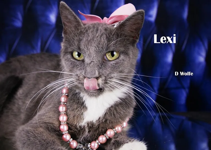 Lexi thumbnail 2