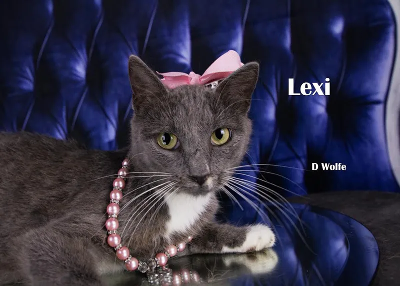 Lexi thumbnail 3