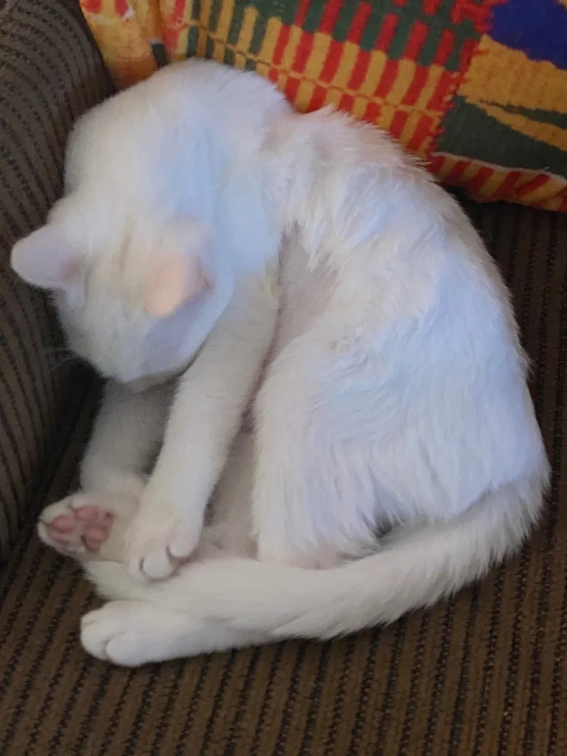 Rochelle And Brownie Indoor