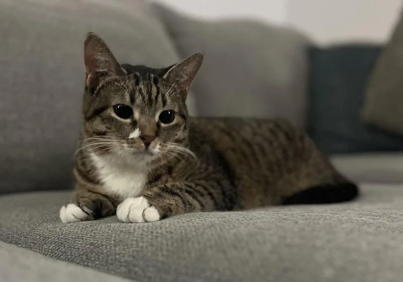 Resilience thumbnail 2