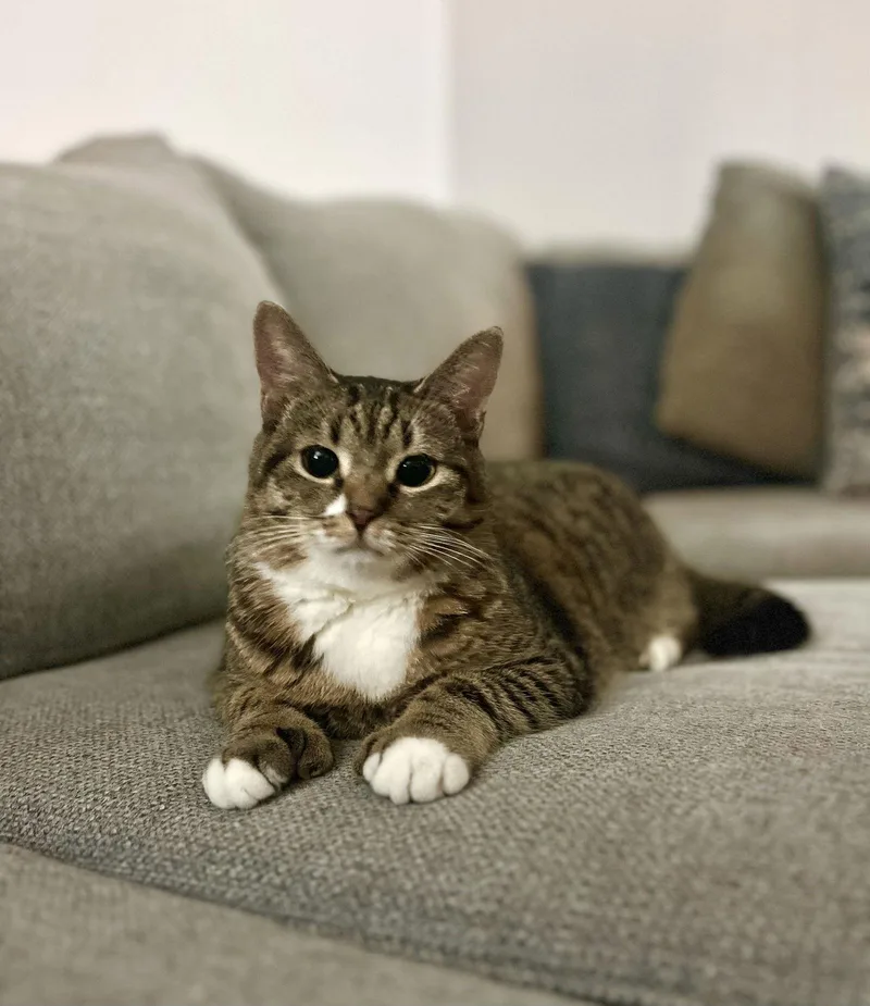 Resilience thumbnail 3