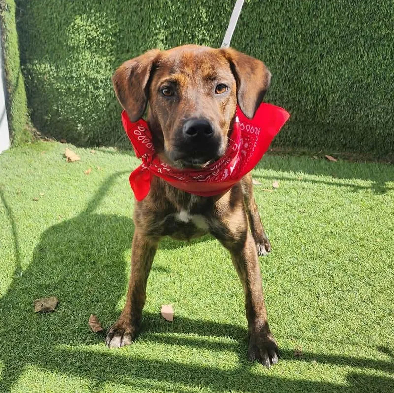 Sarah thumbnail 2