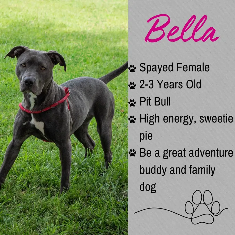 Bella