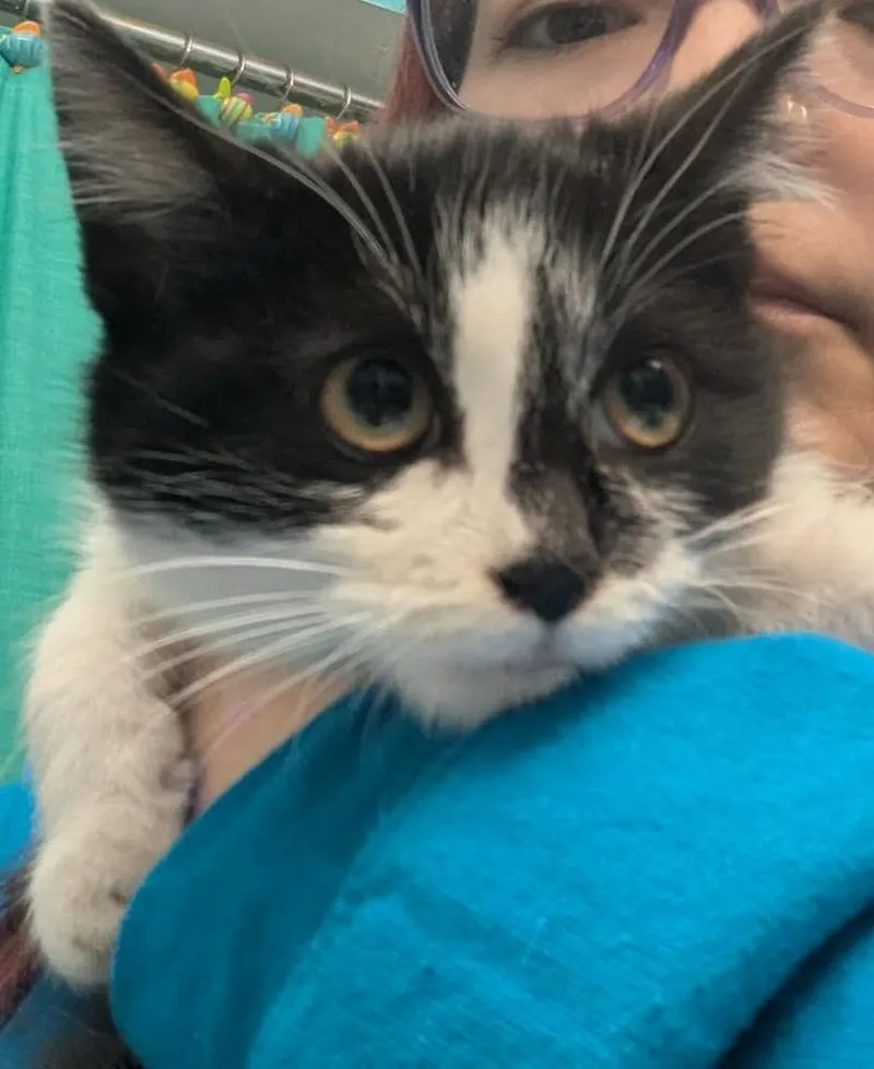 Carolina thumbnail 2