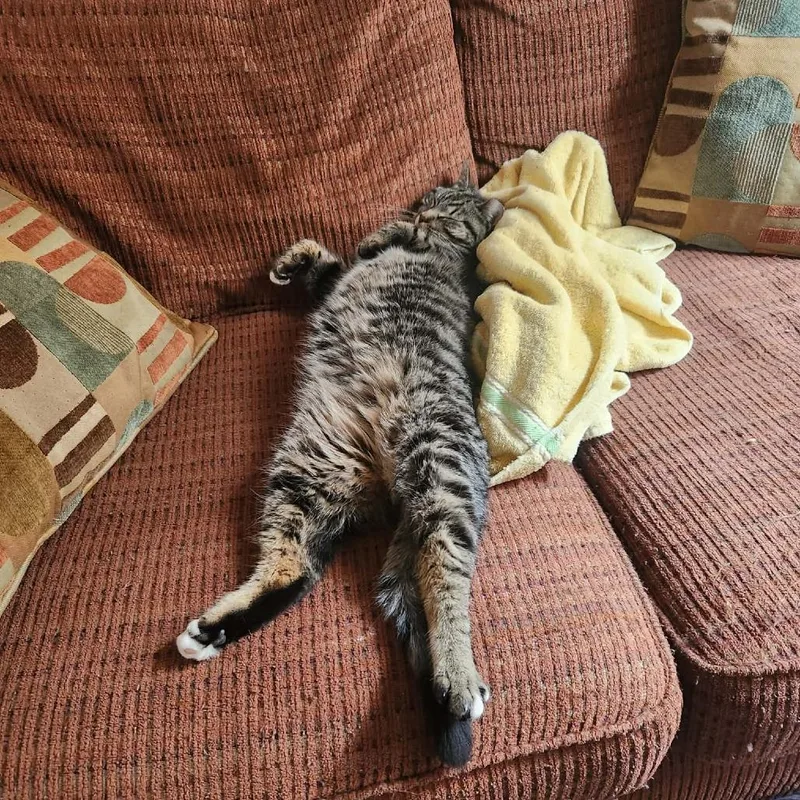 Holiday Golightly thumbnail 4