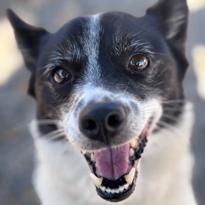 Maggie thumbnail 2