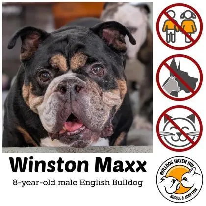 Winston Maxx