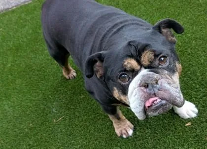 Winston Maxx thumbnail 2