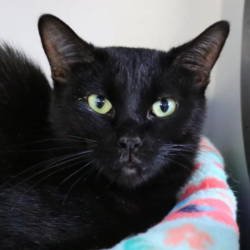 Sabrina thumbnail 2
