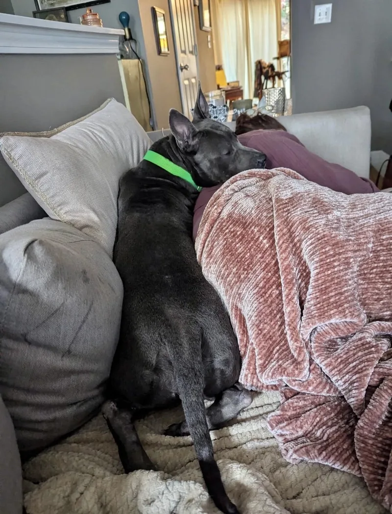 Cranberry thumbnail 2