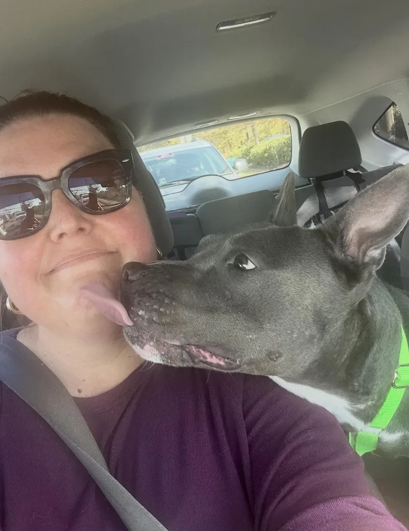 Cranberry thumbnail 5