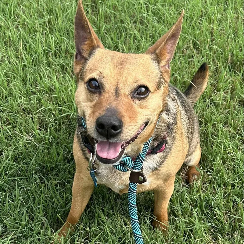 Brody Has Been With thumbnail 6