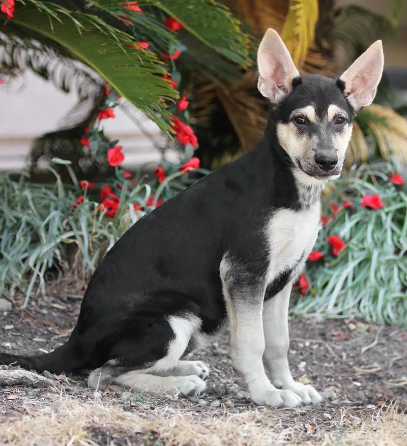 Carrie Von Miley thumbnail 2