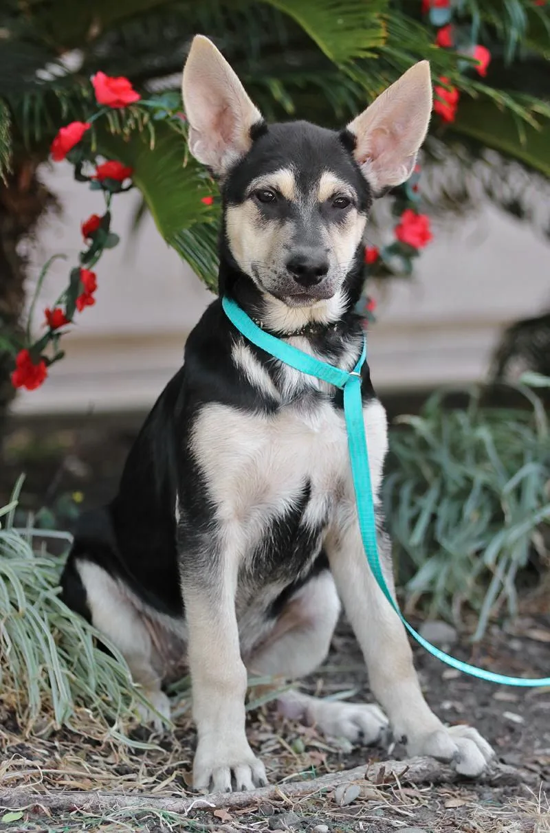 Carrie Von Miley thumbnail 4