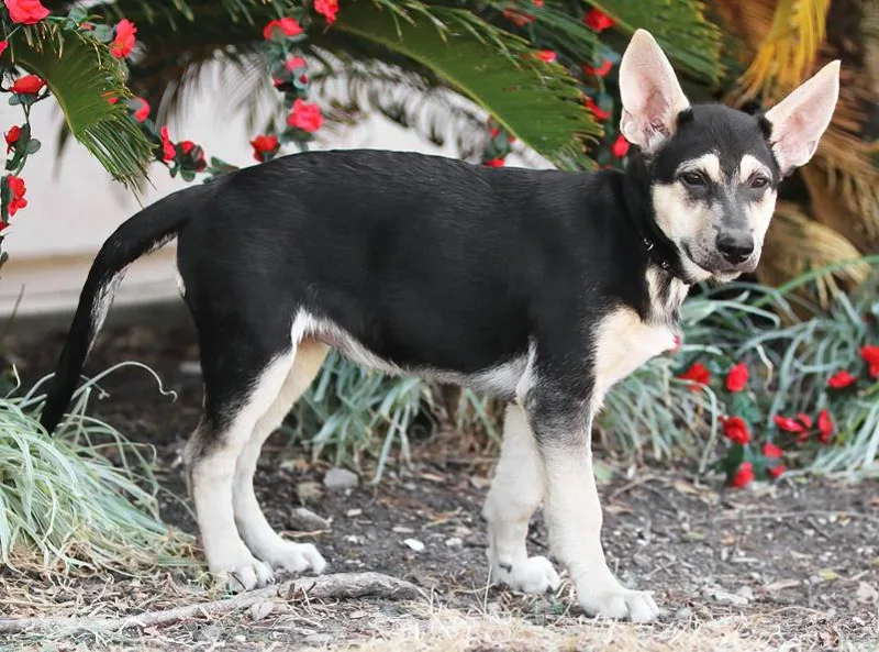 Carrie Von Miley thumbnail 5