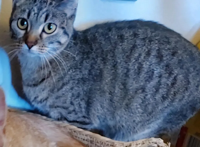 Michaela thumbnail 2