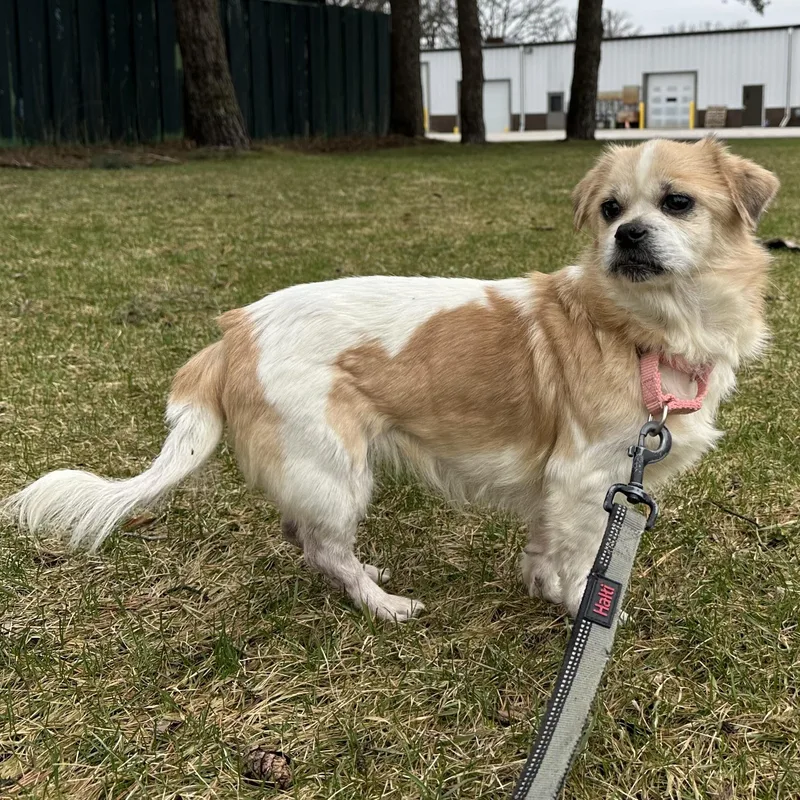 Rayne Home Visit In thumbnail 2