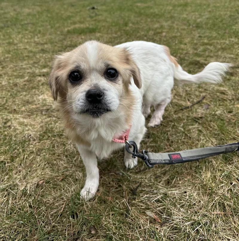 Rayne Home Visit In thumbnail 3