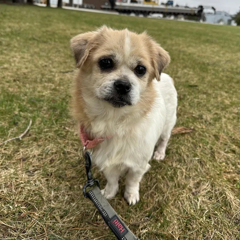 Rayne Home Visit In thumbnail 4