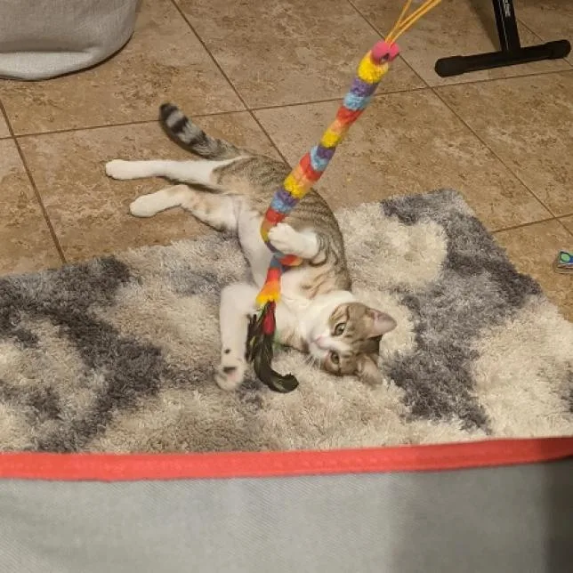 Nellie thumbnail 4