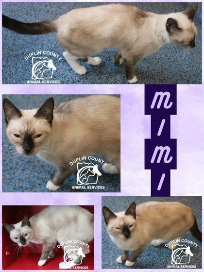 Mimi