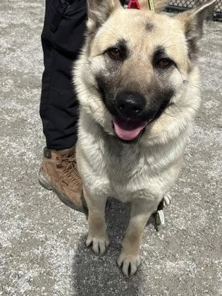 Bella Bonita thumbnail 2