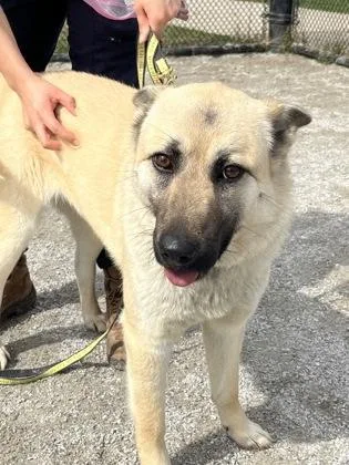 Bella Bonita thumbnail 3