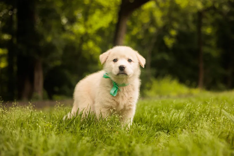 Murphy thumbnail 3