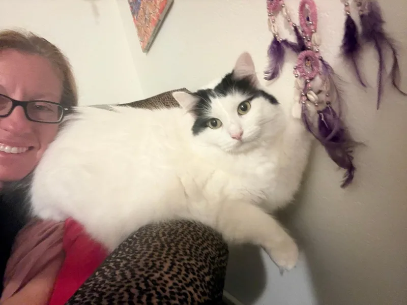 Millie thumbnail 2