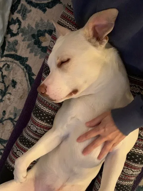 Maverick thumbnail 2