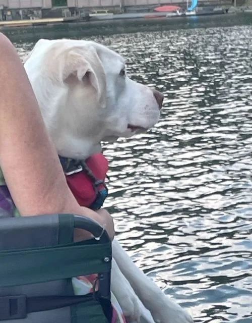 Maverick thumbnail 3