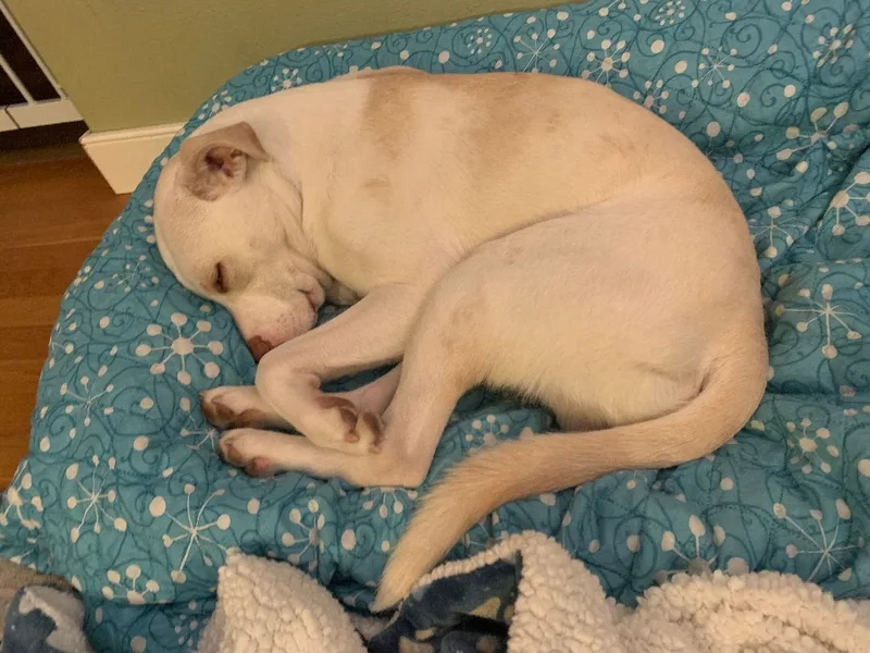 Maverick thumbnail 4