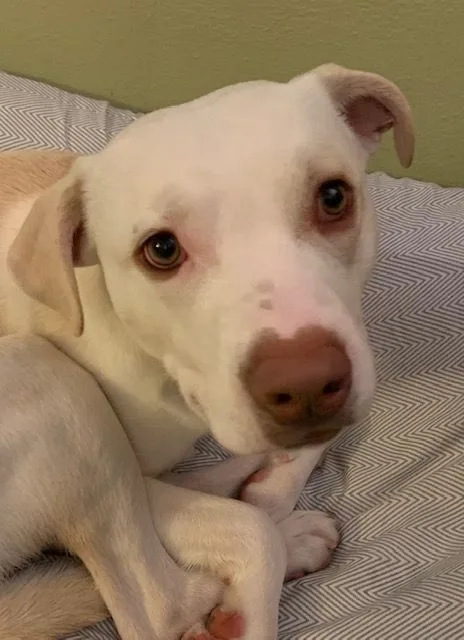 Maverick thumbnail 5