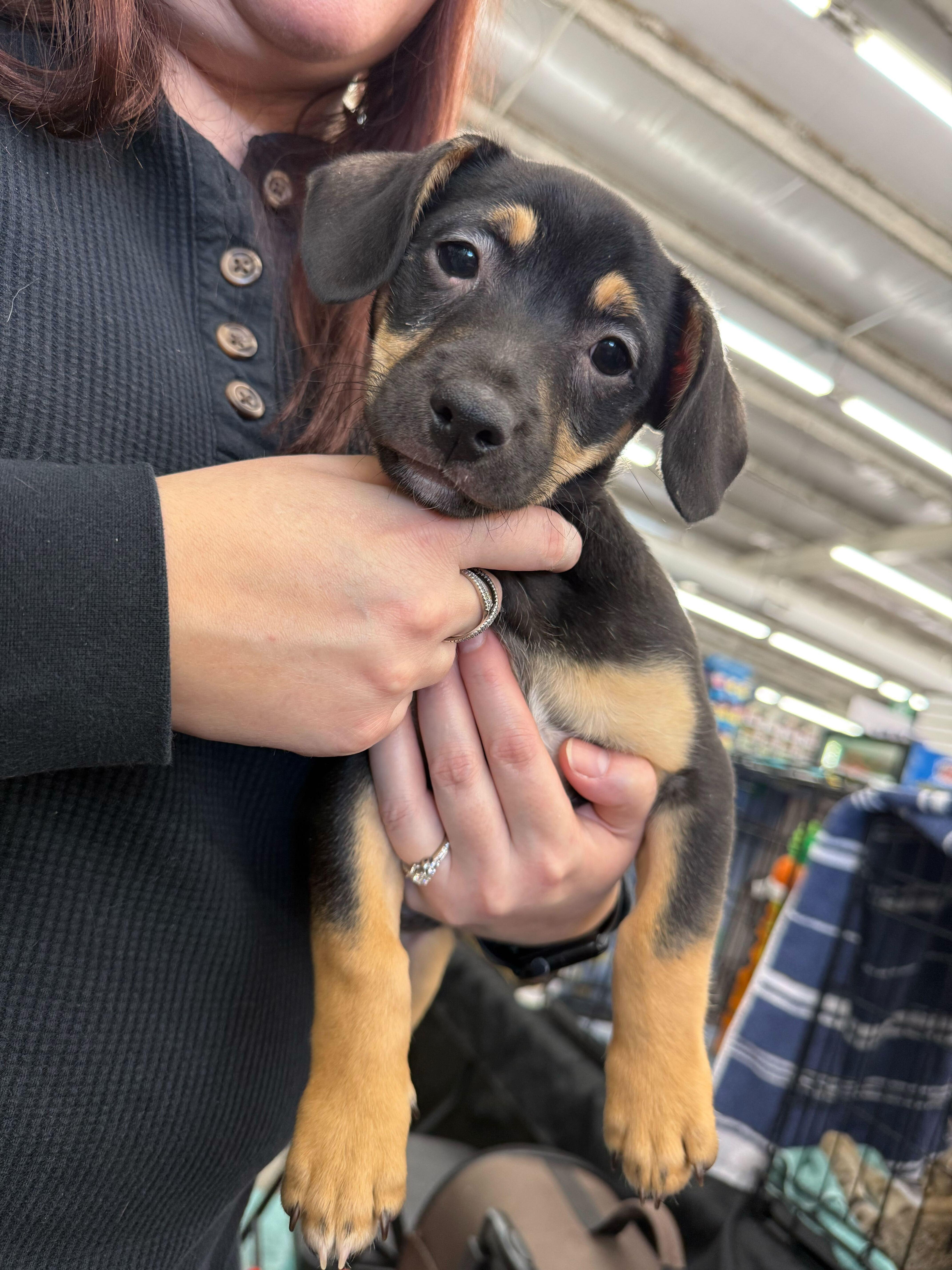 Bruno Tonioli thumbnail 2