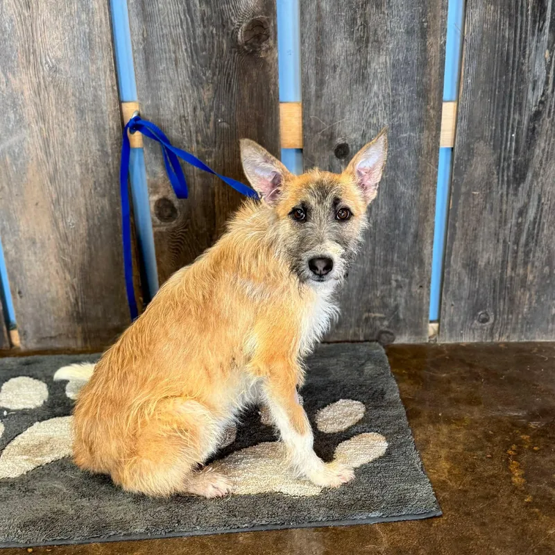 Theodore   $ thumbnail 3