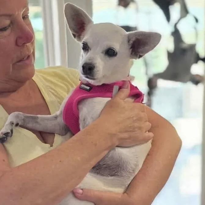 Candy thumbnail 4