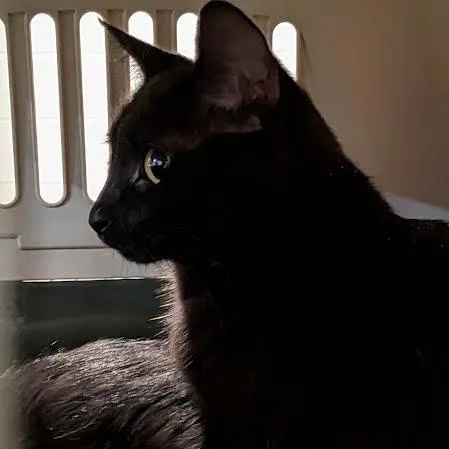 Fiona thumbnail 5