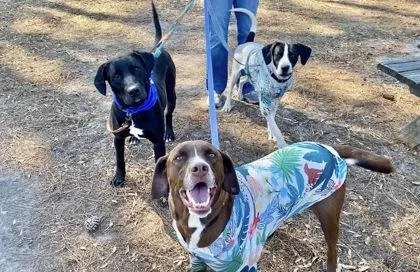 Jackson Galaxy thumbnail 2