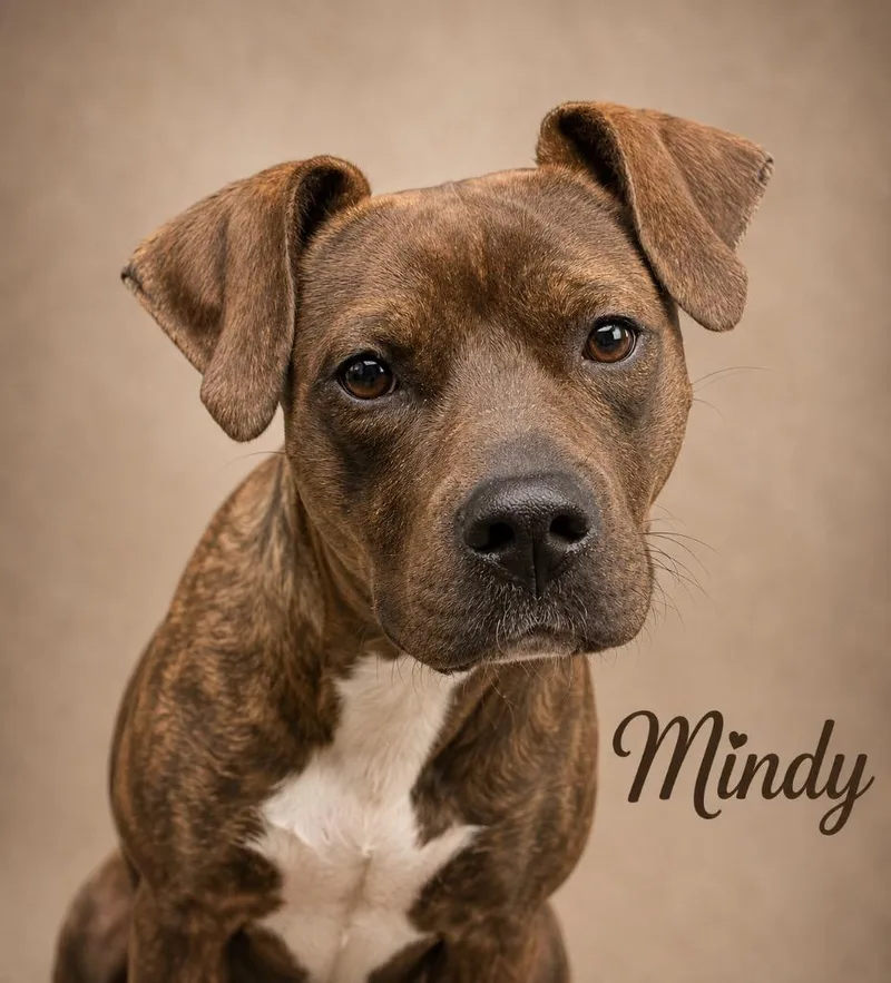 Mindy thumbnail 2