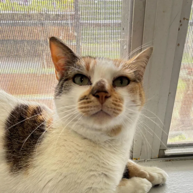 Surround Sound thumbnail 2