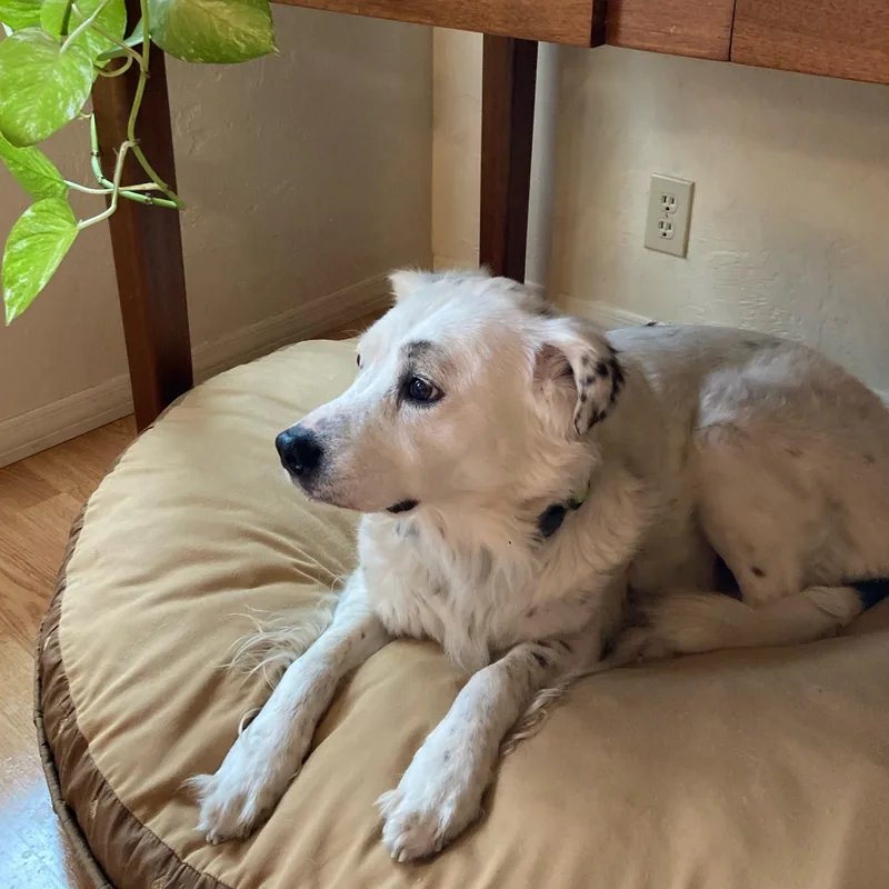 Grace – A Gentle thumbnail 2