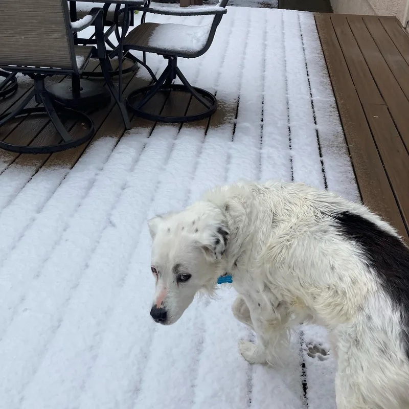 Grace – A Gentle thumbnail 3