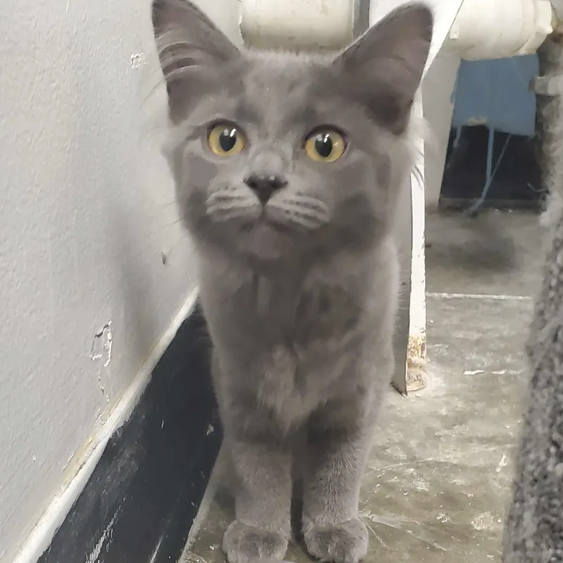 Vicky thumbnail 4